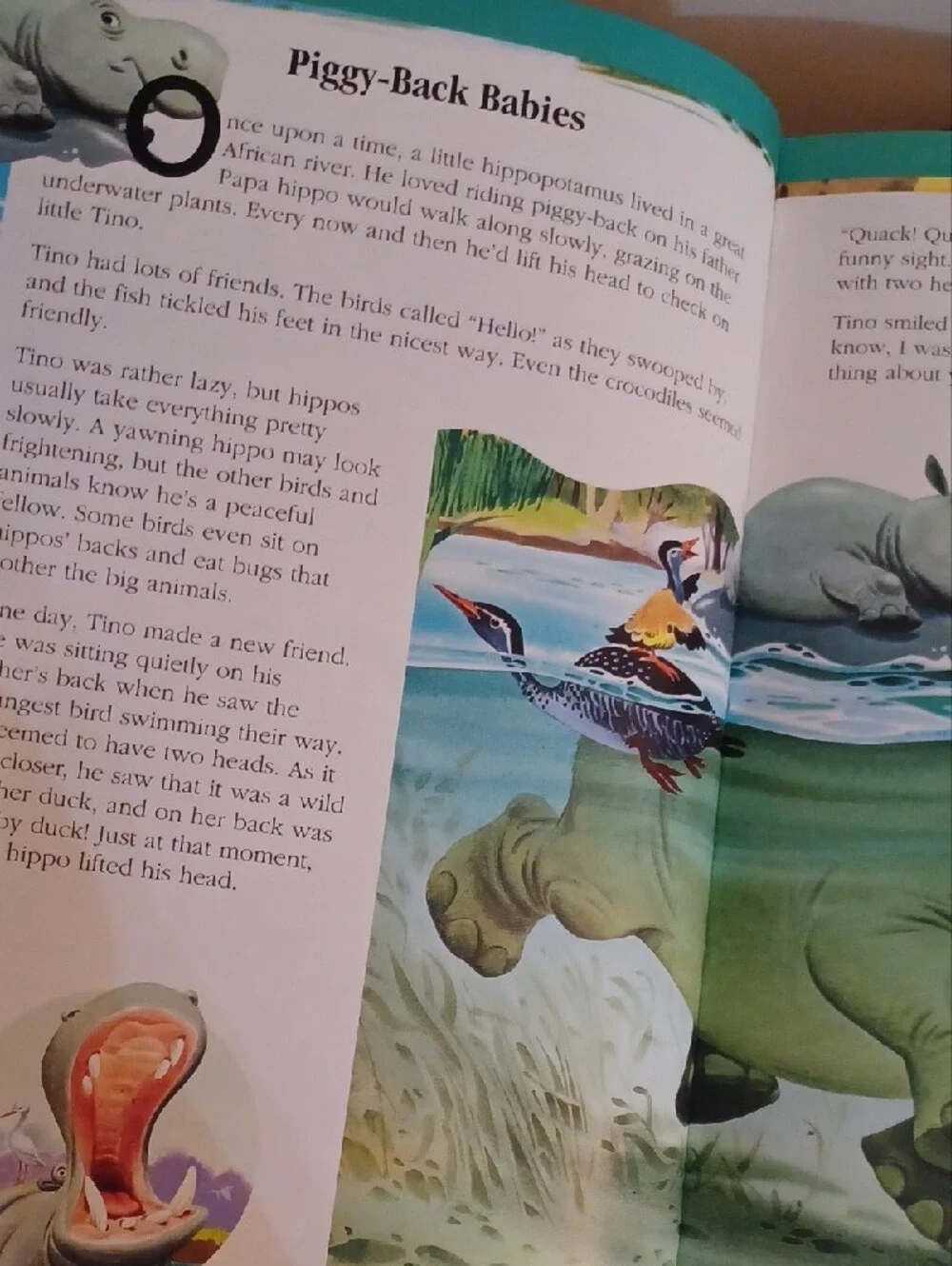 Paw Patrol Puzzles, Dino, & Mickey Puzzles, Animal Books Collection